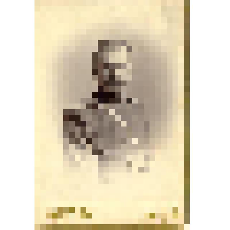 Фотография. Чапин Т.С