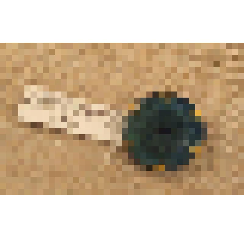 Пуговица для верхней женской одежды, из коллекции документальных и вещевых материалов семьи Орловой Калерии Николаевны, бывшей заведующей лабораторией областного туберкулезного диспансера, пенсионерки