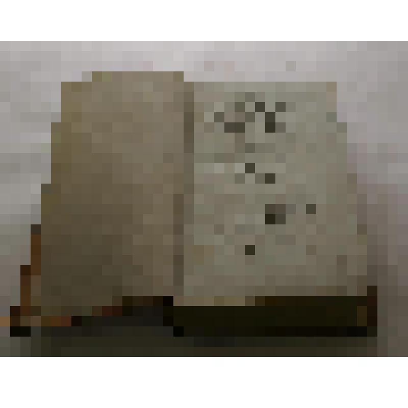 печатная книга. Institutiones Historiae philosophicae usui academicae iuventutis adornatae