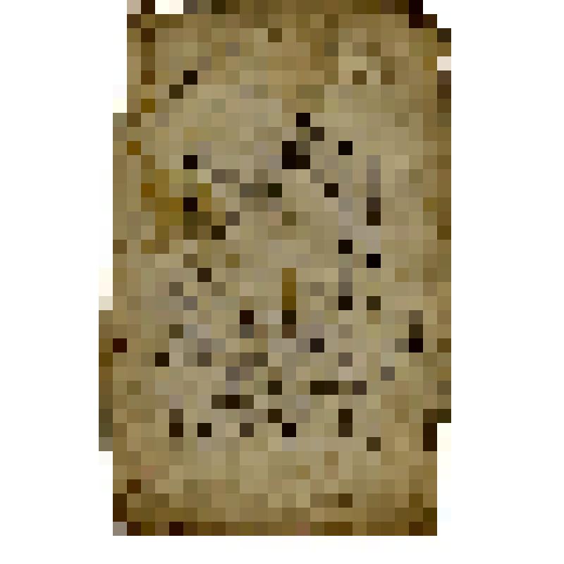 Иконный образец. Богоматерь Казанская