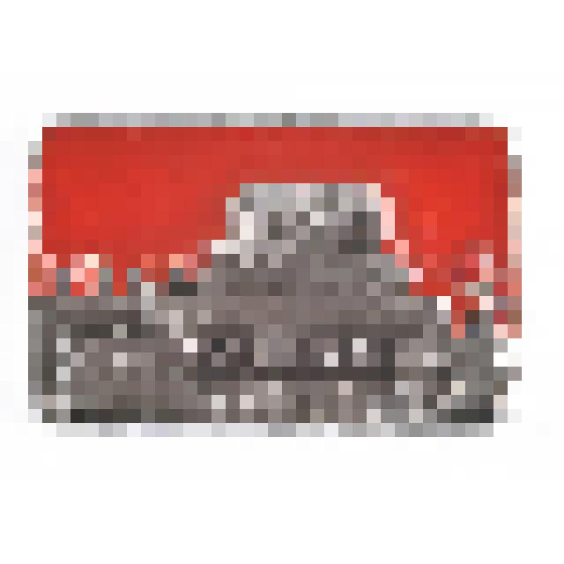 Знак нагрудный. (Мавзолей В.И.Ленина). Из комплекта: Коллекция знаков нагрудных с изображением В.И.Ленина