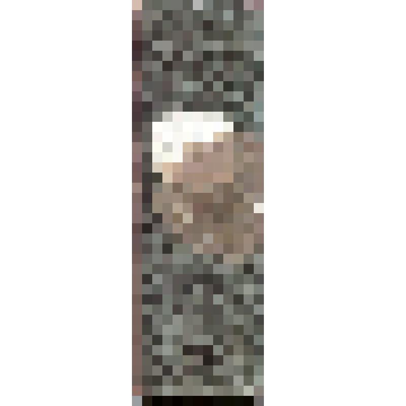 Книга для прихода и расхода хлебных припасов Г.П.Гусева, 1885 - 1887 гг