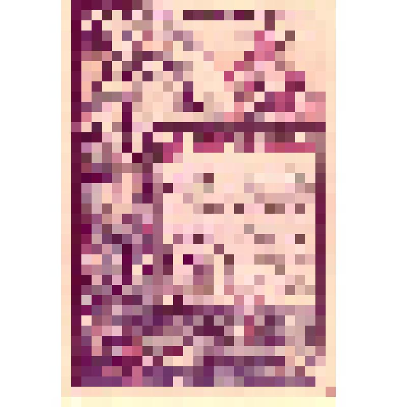 Диплом-фото