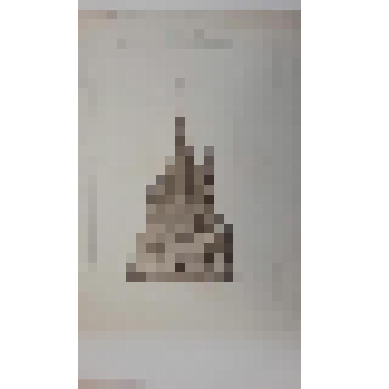 Храм Воскресения Христова ("Спас на Крови"), наб. канала Грибоедова.(Екатериниский), 26. 1883-1907 гг. г. Санкт-Петербург (Ленинград). Храм Воскресения Христова ("Спас на Крови"). Кузьмин Роман Иванович. Второй конкурс проекта храма. Проект Кузьмина. Глав