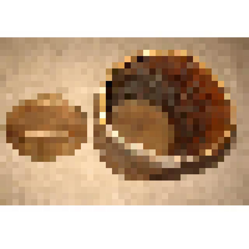 Бурак - туяс