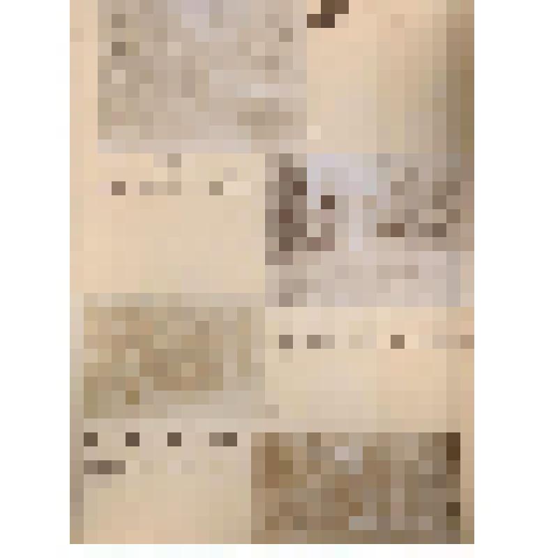 Лист с фотографиями. Виллуан В.Ю. и его окружение