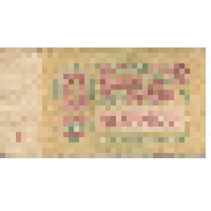 Бон "Государственный казначейский билет Один рубль"