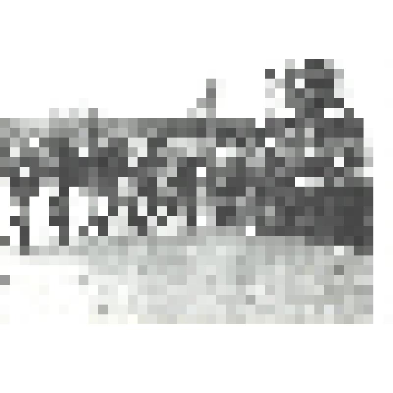 Фотография. Десантники на старте соревнования