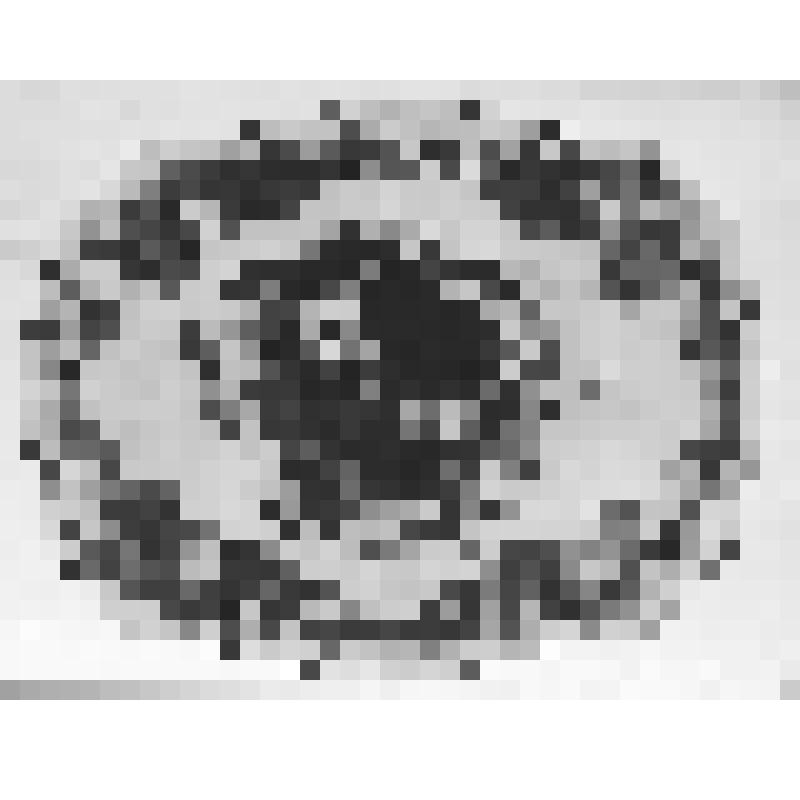 Негатив. Автор Гогин А.П. Поднос "Букет цветов с маком". Металл, масло, лакировка. Размеры: 58х67 см. Артель «Металлоподнос». дер. Жостово. Мытищинский р-н. Московская область. 1953 г. Материалы из коллекции "Фототека НИИХП"