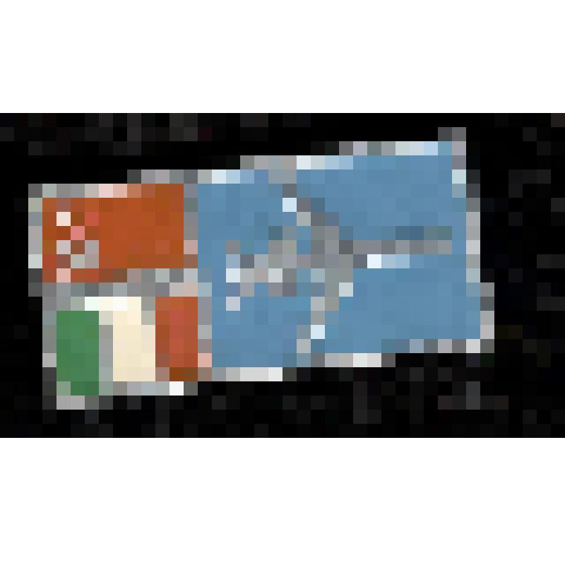 Значок. Авиация. СССР-Италия, на булавке. СССР