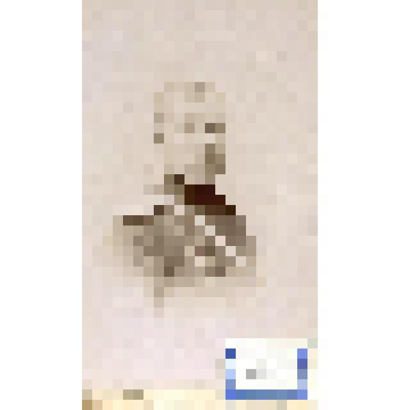 Фотография черно-белая. Петеров Эрнест Карпович