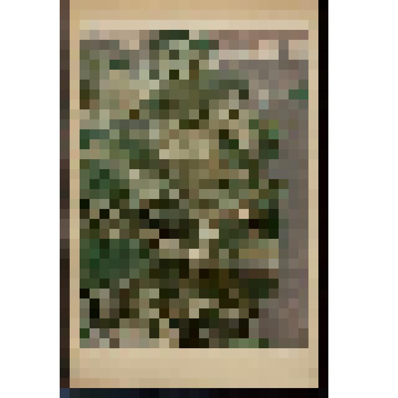 У набережной. Из серии "Дни нашей жизни"