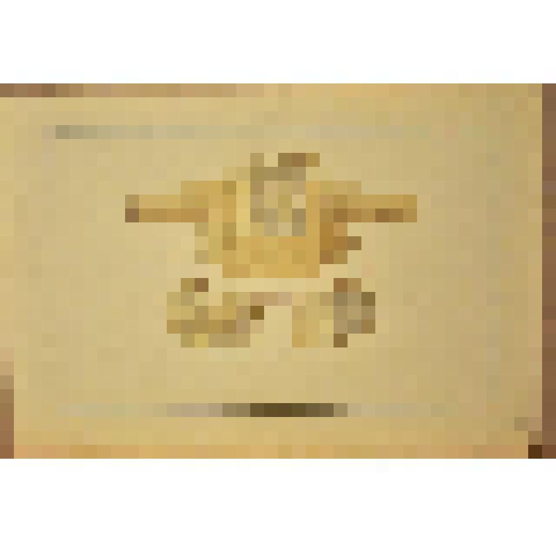 Короткая верхняя одежда и натазник с металлическими пластинами