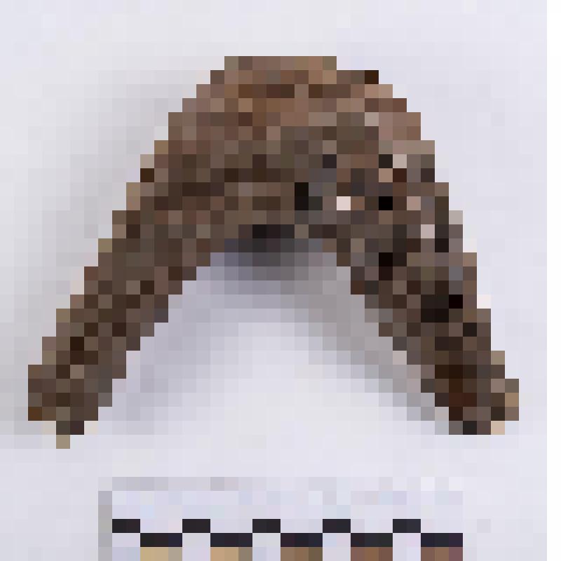 Ботала заготовка