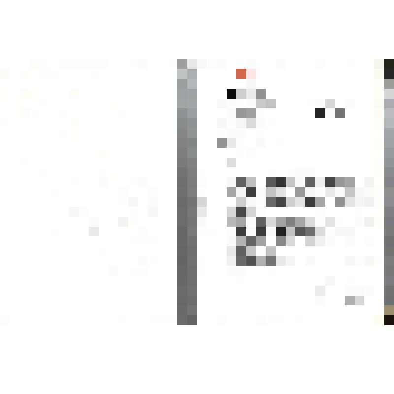 Приветственный адрес Президенту, Главе Правительства Республики Тыва Ш.Д.Ооржаку  от Министра РФ по делам гражданской обороны, чрезвычайным ситуациям и ликвидации последствий стихийных бедствий (МЧС России) С.К.Шойгу 07.09.2004 № 43-3091-1