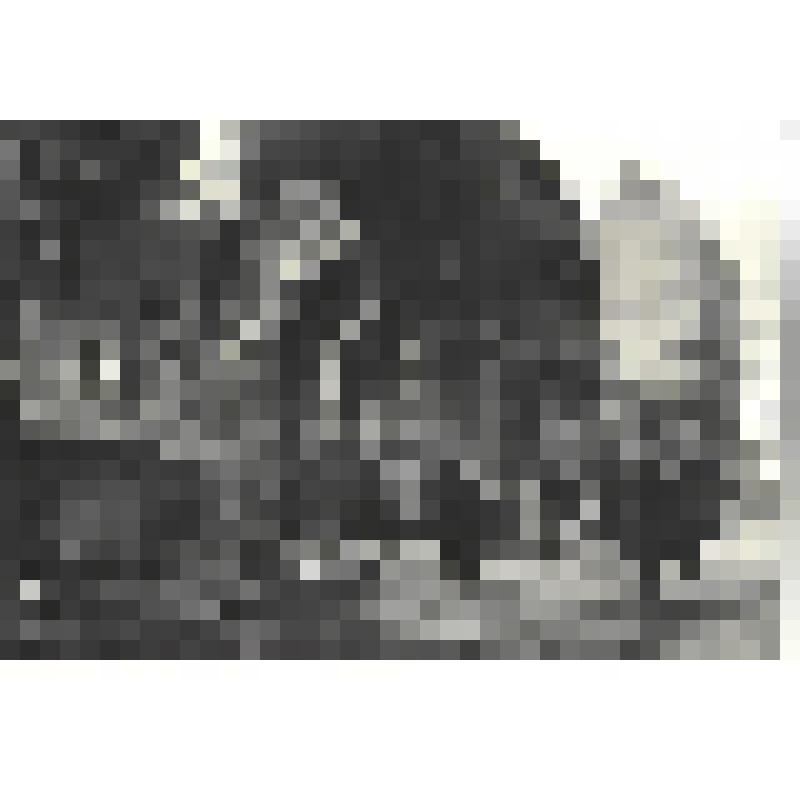 Фотографии. Фото ч/б. В дни боев на улицах Берлина, апрель 1945 г