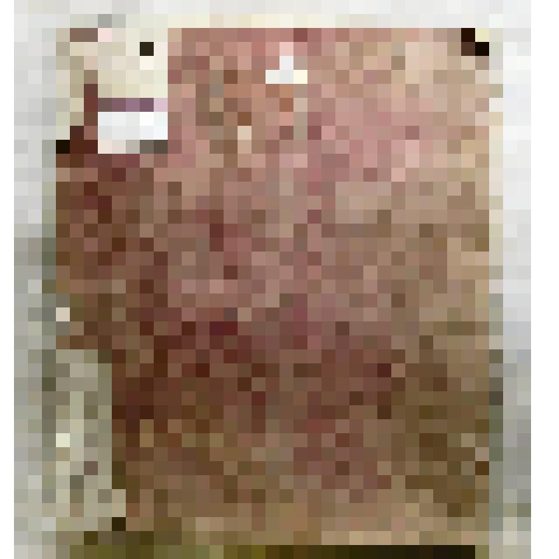 Книга «Благодарственное моление к всещедрому Богу во возведении на престол и коронации Екатерины II»