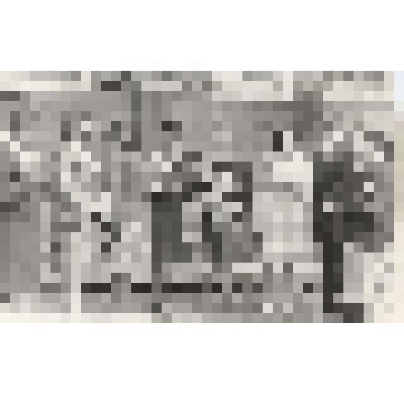 Фотография. Гребенщикова Анна Васильевна в группе участников Великой Отечественной войны на празднике у дома