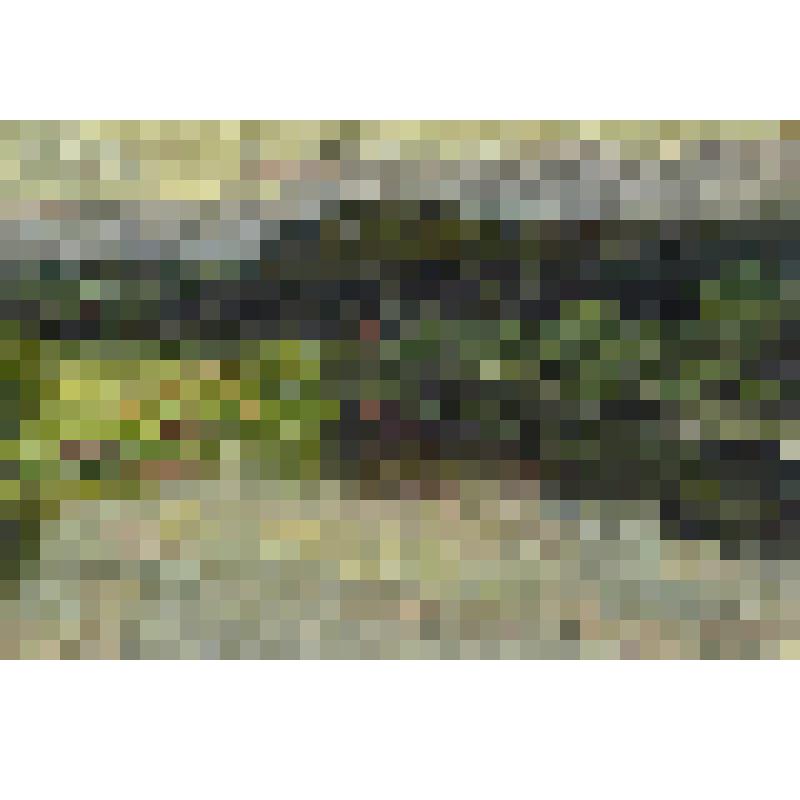 Холмовая гора на реке Вожега. Этюд