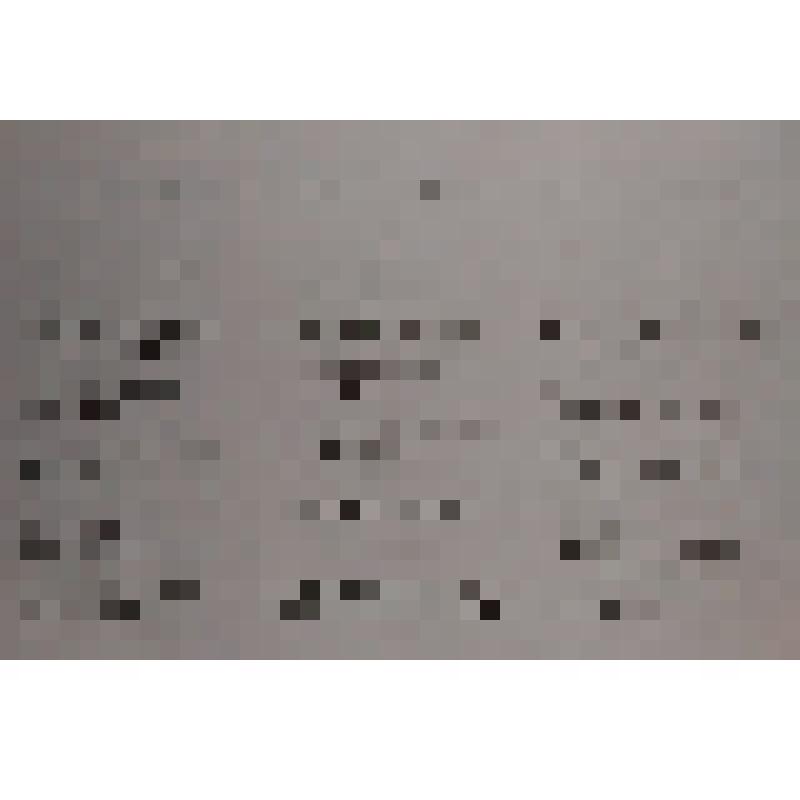 Листок избирательный кандидата на должность губернатора Магаданской области - Дудова Николая Николаевича