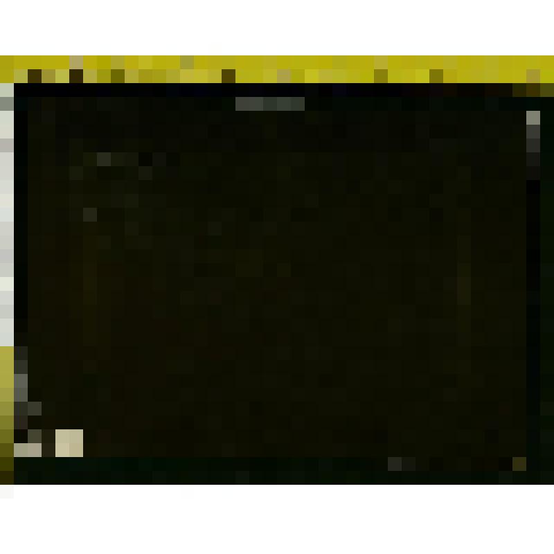 Фотография: Группа в саду Московского дома Толстых