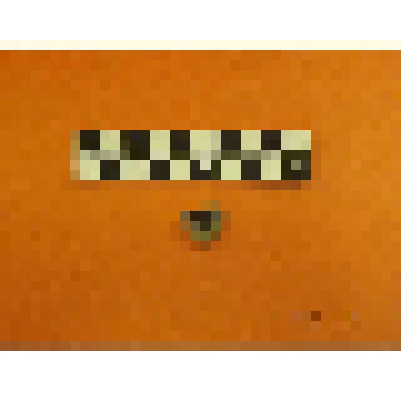 каменный скребок