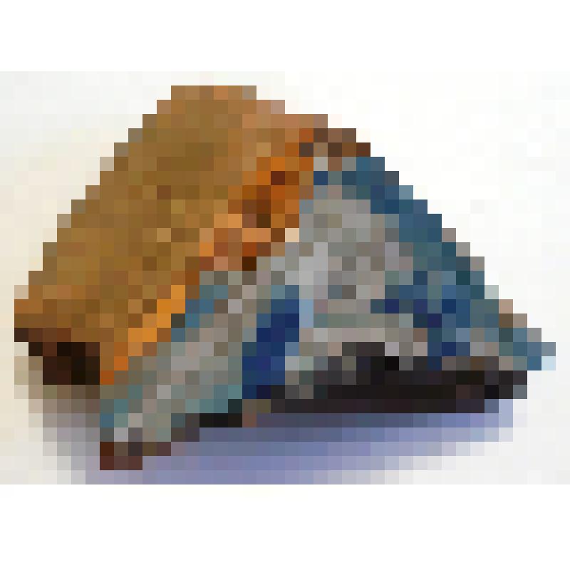 Изразца печного фрагмент