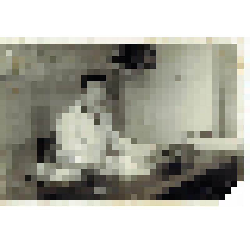 Фото: Турутин Федор Григорьевич – заведующий городской ветеринарной лечебнице, за рабочим столом