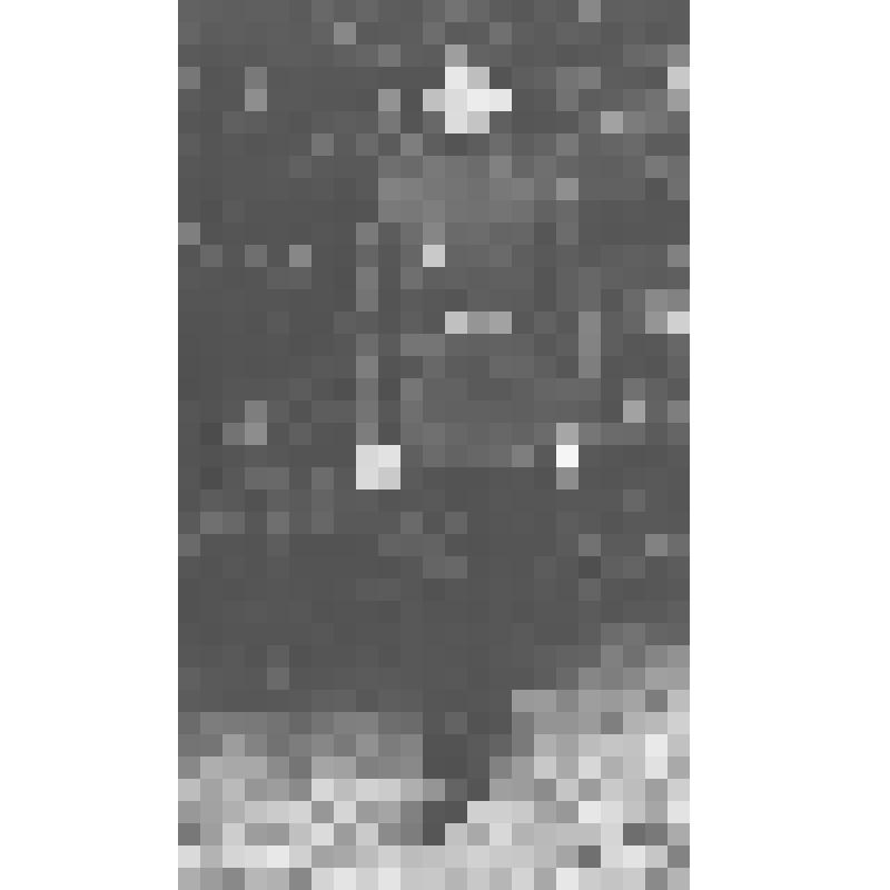 Фотография. Портрет Константина Кирилловича Волкова