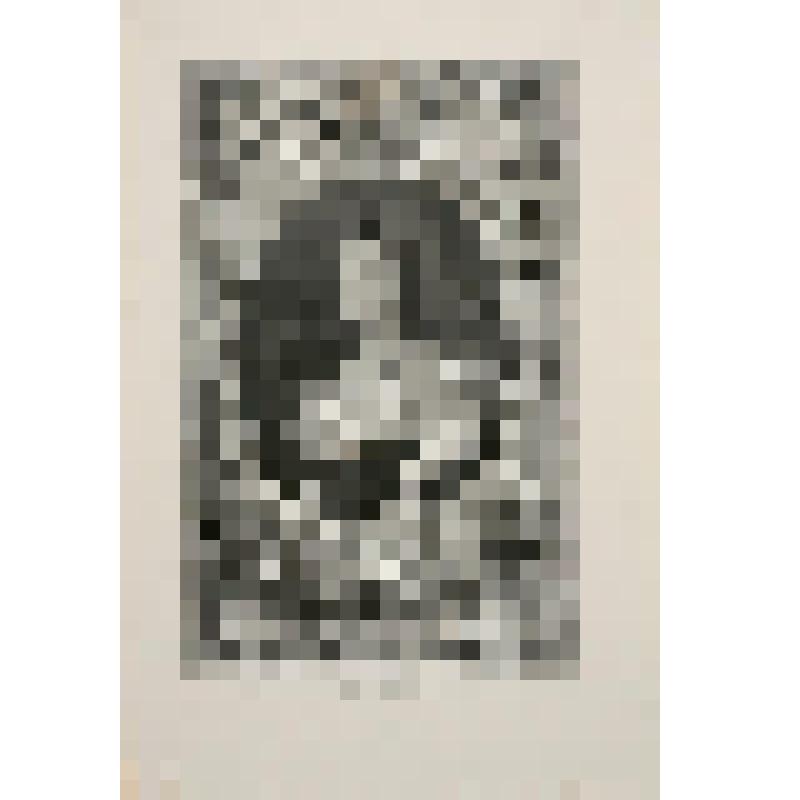 Гравюра. "Портрет Натальи Долгоруковой, дочери графа Б.П.Шереметева"