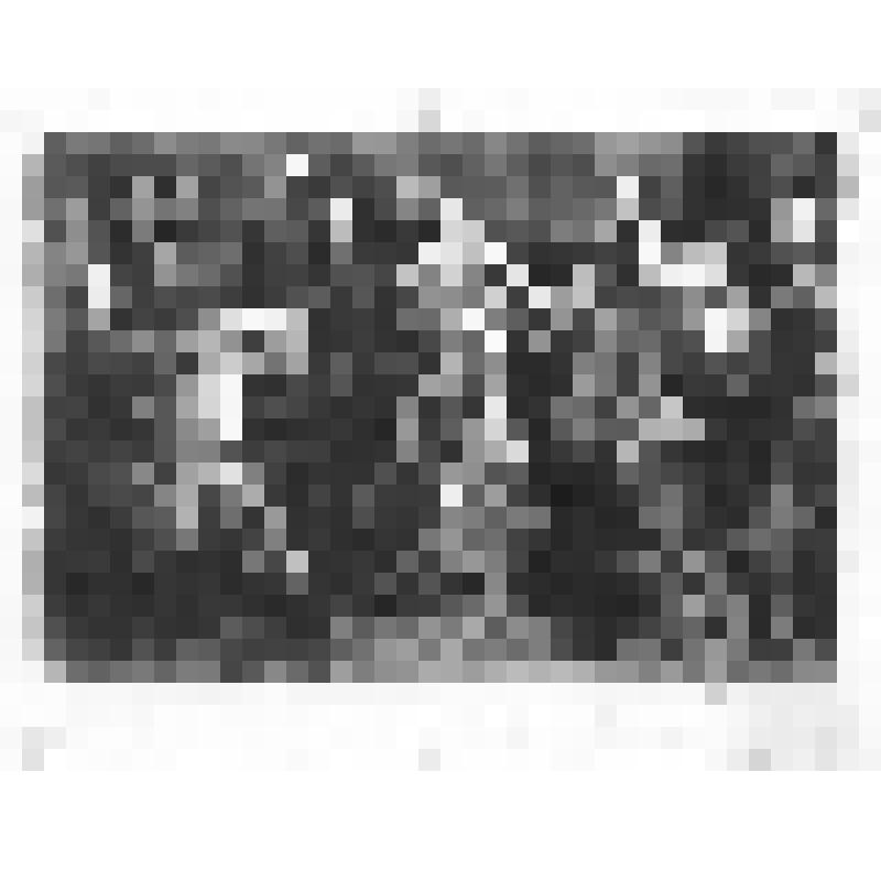 Иллюстрация. Вечеринка на кухне