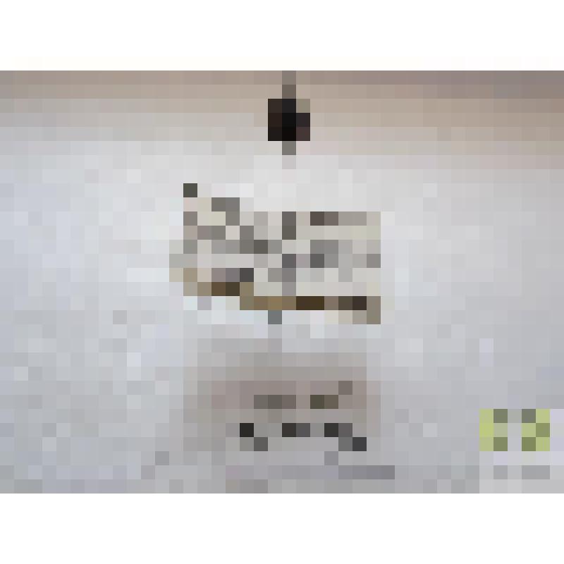 Хилокорус почковидный  (Chilocorus renipustulatus Scr.)