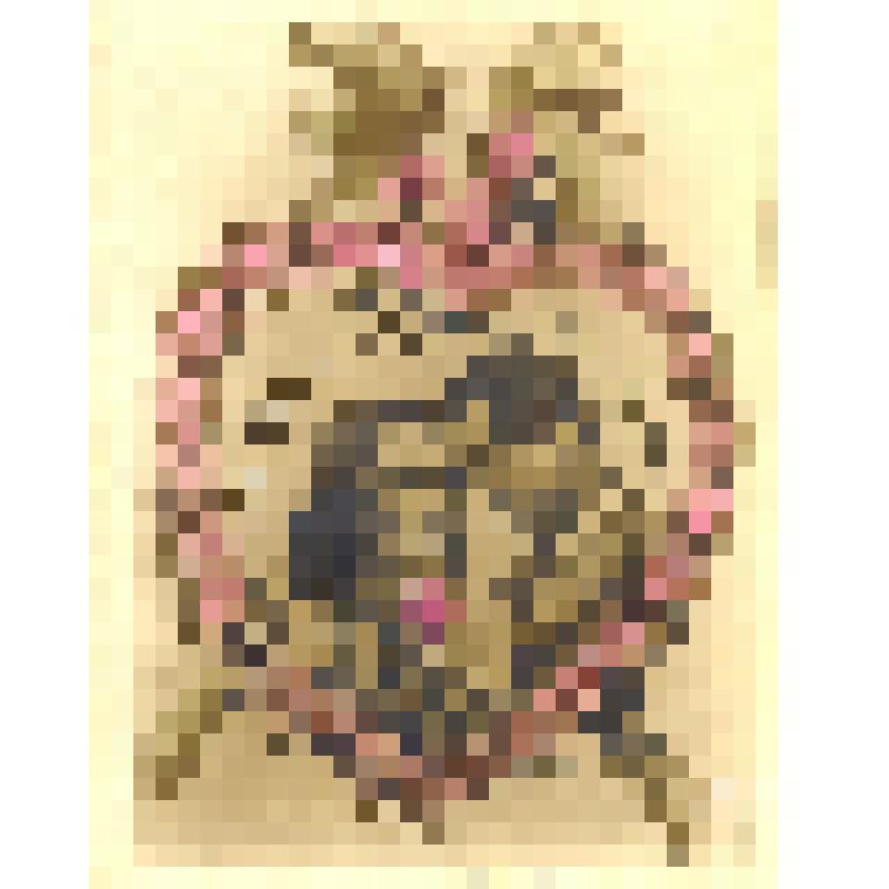 Фотооткрытка поздравительная