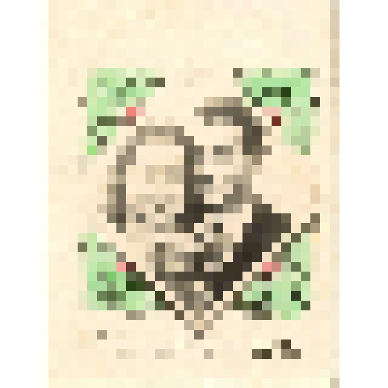 Фотооткрытка подарочная