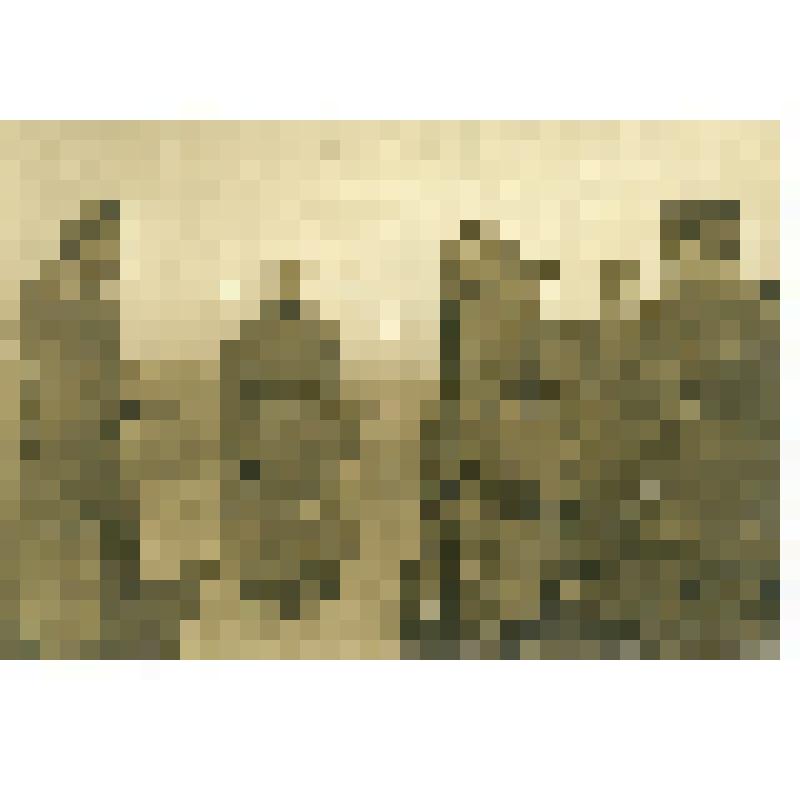 Фото. Генерал Любицкий осматривает позиции