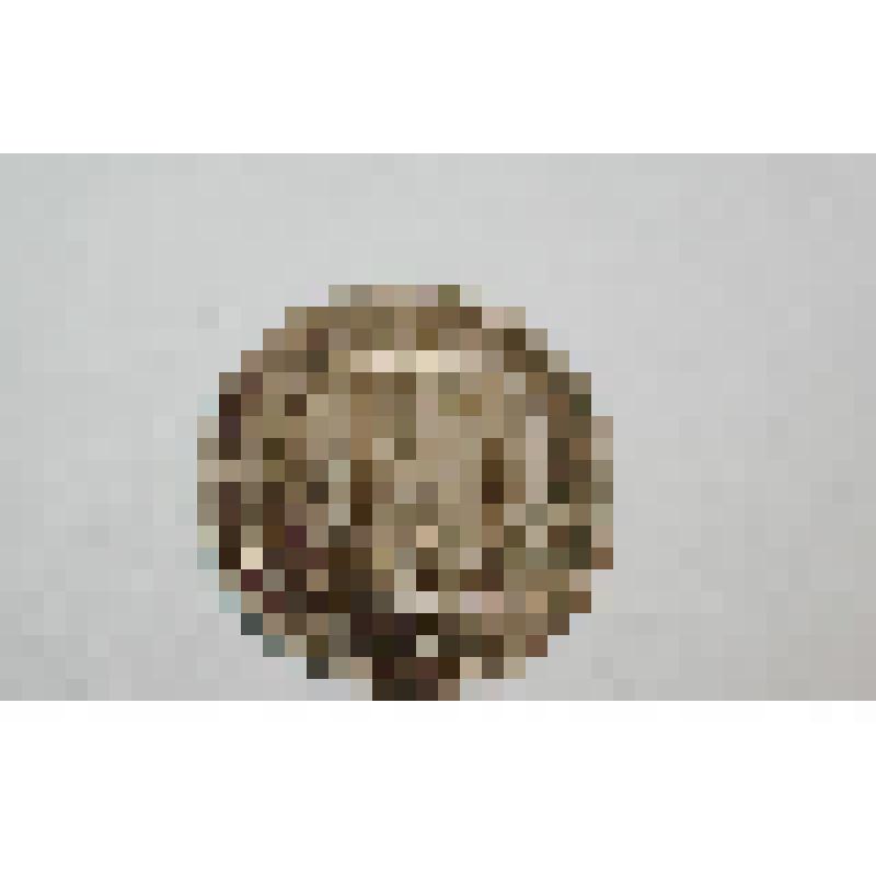 Монета. 15 копеек