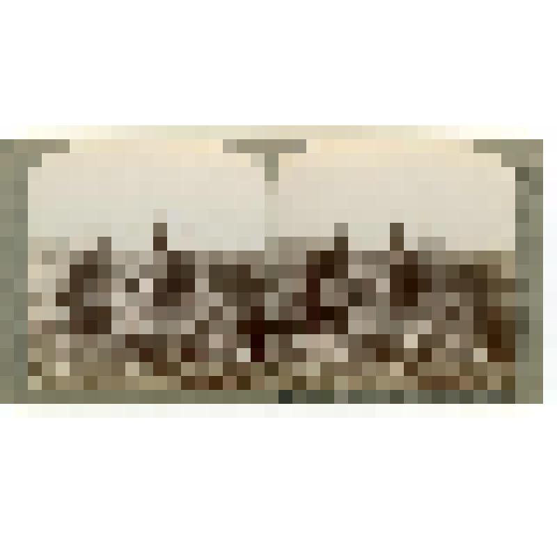Кафедральный собор. XIII в.-1567 г. Испания. Бургос. Кафедральный собор. Общий вид. Underwood & Underwood