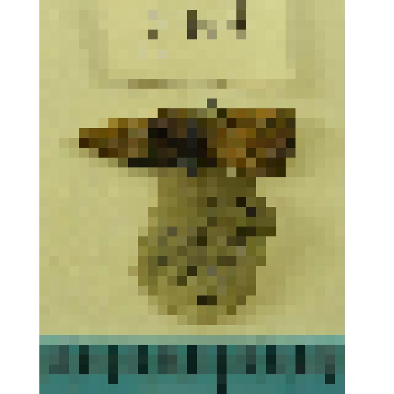 Нож (фрагмент)