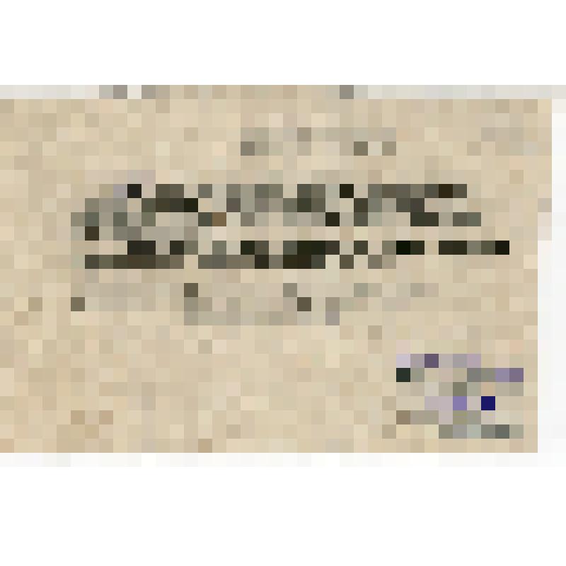 Извещение о встрече избирателей 10-го участка с кандидатом в депутаты Верховного Совета РСФСР Борисовой В.В