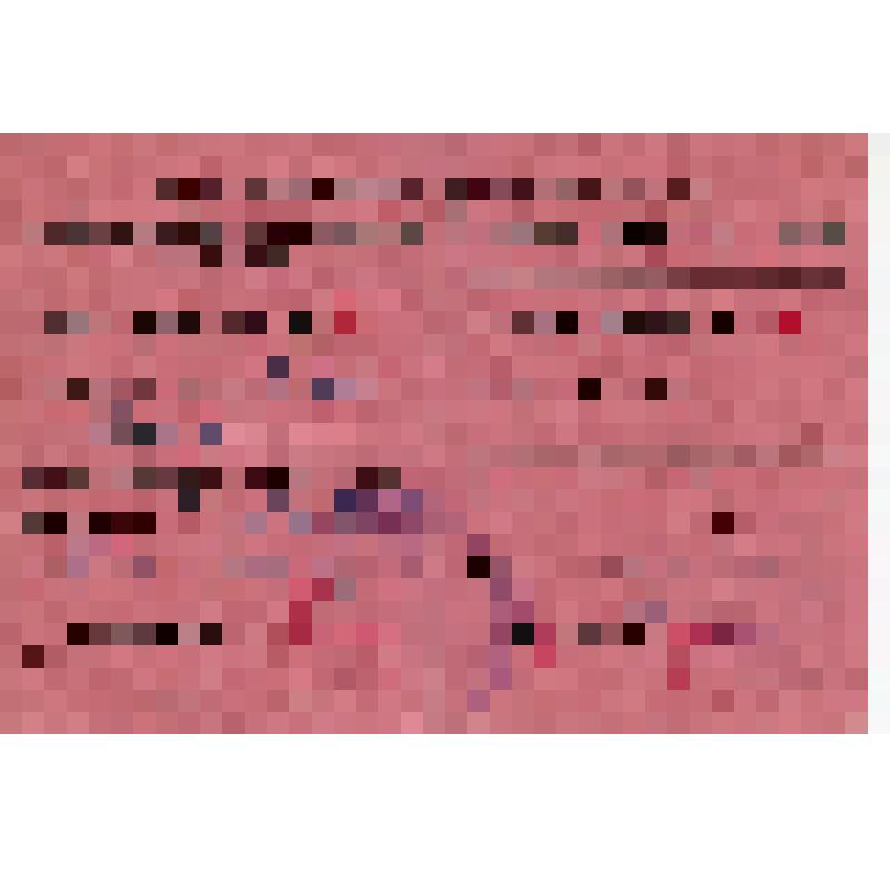 Удостоверение N 94 Баба Гасан, делегата рабочей конференции (на русском и азербайджанском языках)