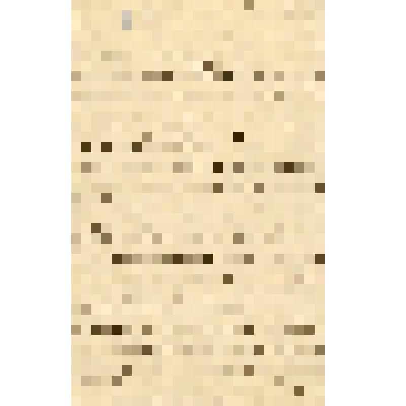 Письмо М.С. Ольминского матери из Петропавловской крепости. Санкт-Петербург. 25.06.1894