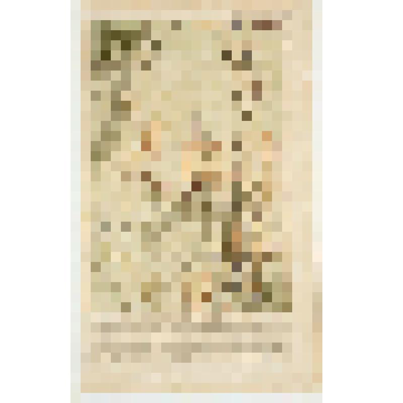 Гравюра. "Schlaceht bey Pultawa, welche deu 27 Jun/8 Jul 1709 zum Nachtheile der Schweden vorgefallen". - " Битва под Полтавой 27 июня/8 июля 1709 г. с потерями для шведов"