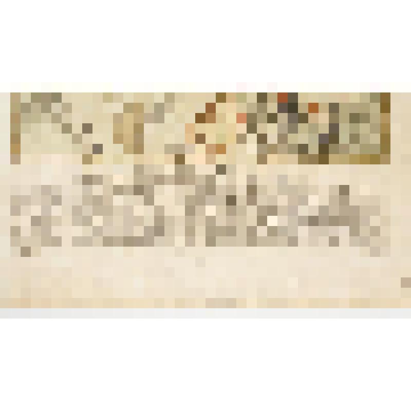 Гравюра. "Schlaceht bey Pultawa, welche deu 27 Jun/8 Jul 1709 zum Nachtheile der Schweden vorgefallen". - " Битва под Полтавой 27 июня/8 июля 1709 г. с потерями для шведов"