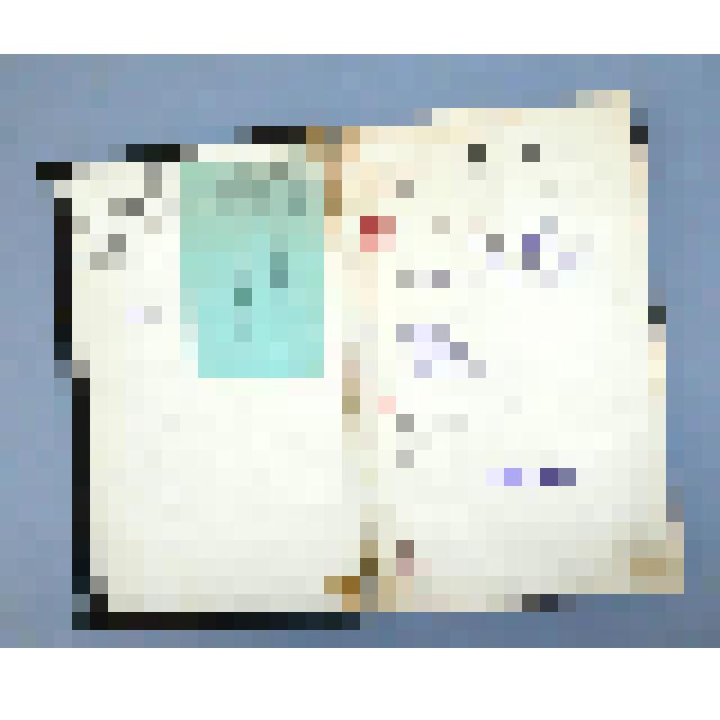 Книга. Пшеницыны. Из истории забитых людей