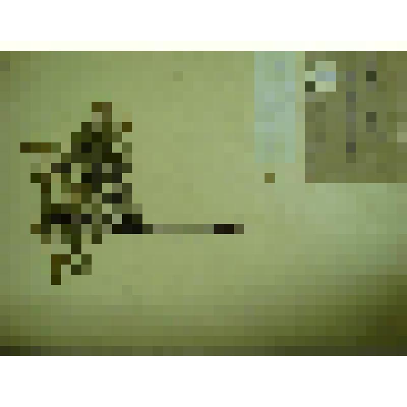 Гербарий. Спирея средняя, гербария М.И.Губельмана