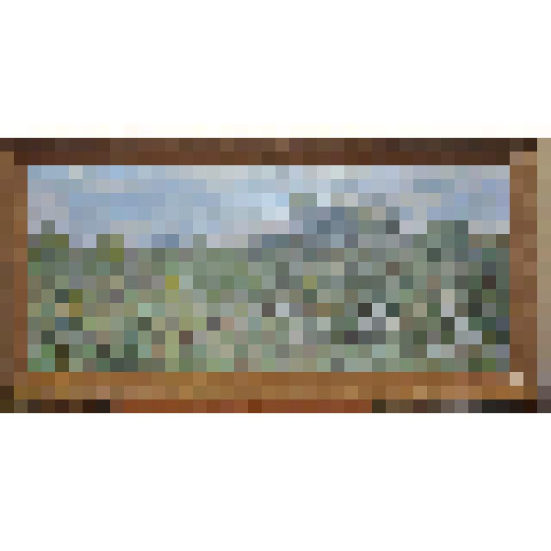 Картина А.И. Кувин. Покинутая деревня