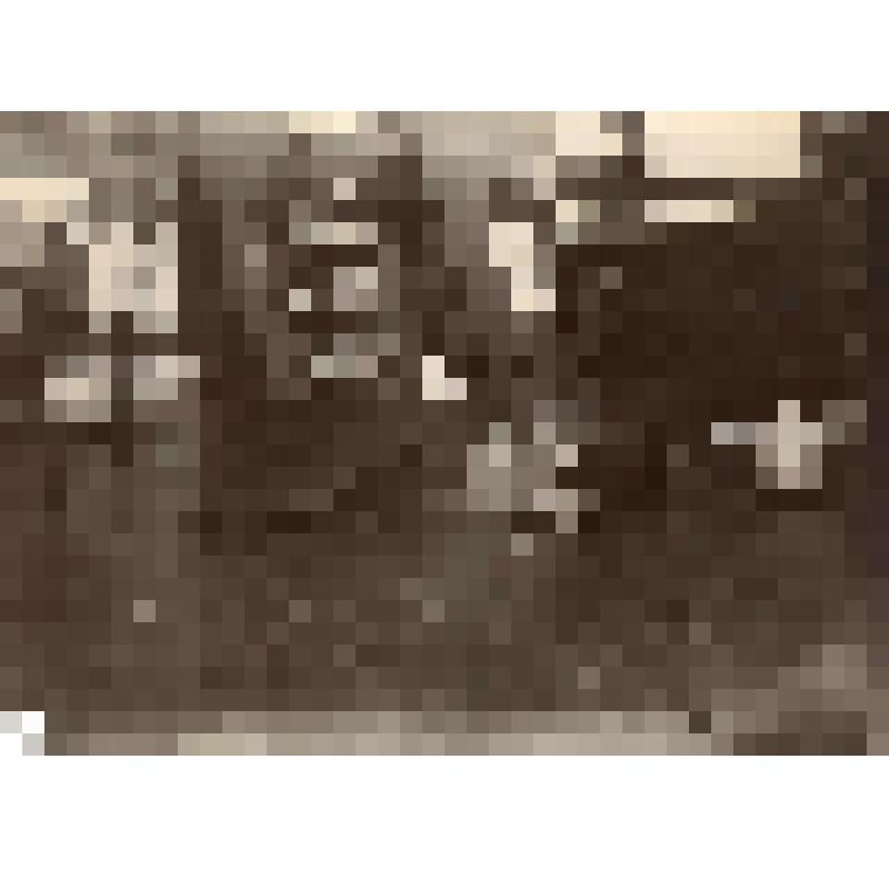 Фотография черно-белая. Череповецкий купец Ф.М. Мостофин. Портрет с медвежьей шкурой