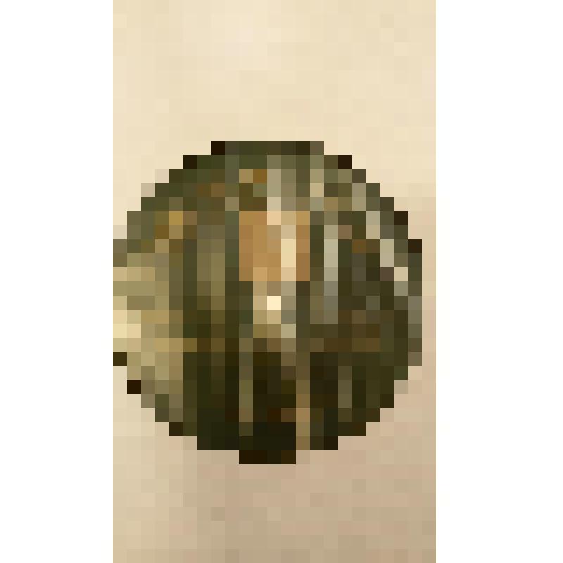 Грампластинка. Пьеса: "Русская застольная песня" (Ямщик), народная песня. Исполняет С.П. Садовников с оркестром балалаечников; Пьеса: "Любил я очи голубыя". Исполняет С.П. Садовников с оркестром балалаечников