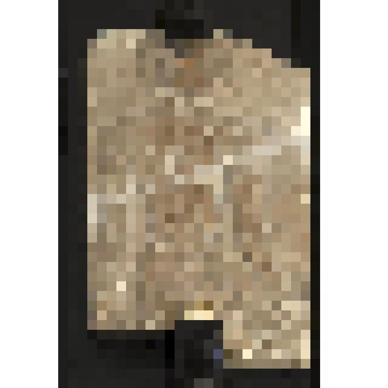 Блок из неизвестной гробницы