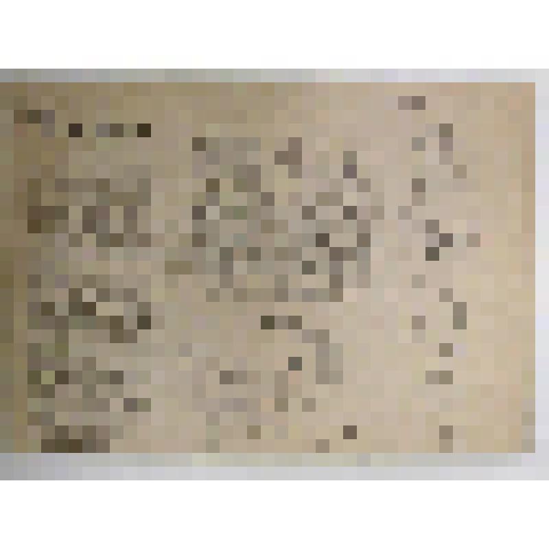 Газета "Ludas Matyi", на венгерском языке. Шарж на Степанову А.И., стр. 3